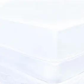 Bed Bug Mattress Protector (Dozen)
