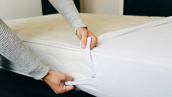 Bed Bug Mattress Protector (Dozen)