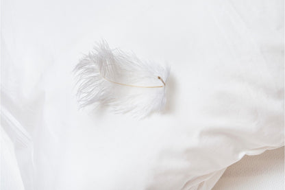Rectangular Feather & Down Filled Pillow Inserts