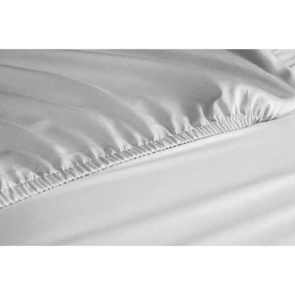 Value Collection Fitted Sheet (Case of 24)
