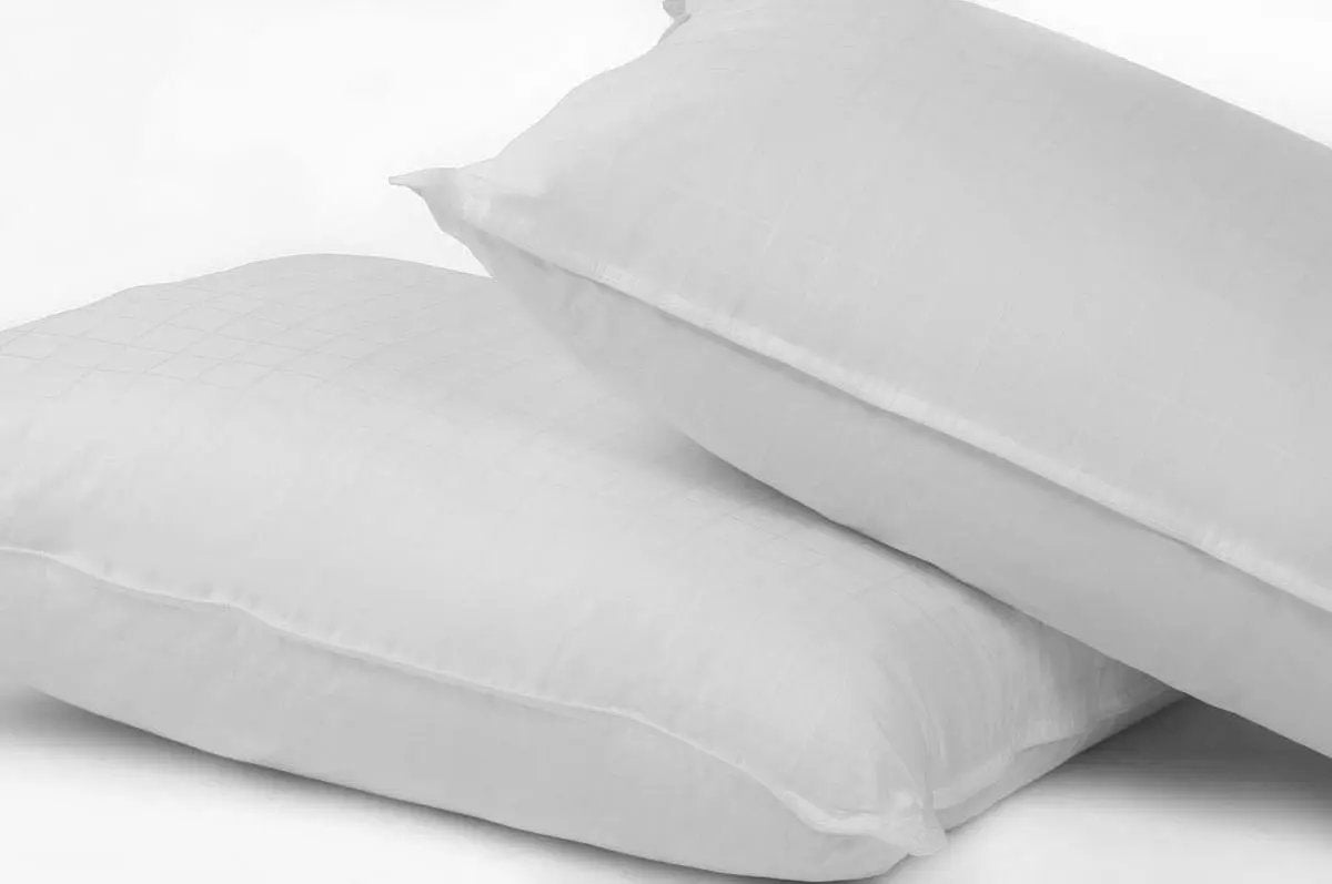Case of Dream On 100% Cotton Sleeping Pillow ( Case of 12) - The Linen Factory Wholesale